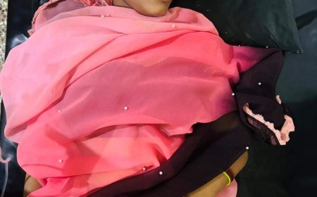 आकाशीय बिजली गिरने से चार लोग झूलसे