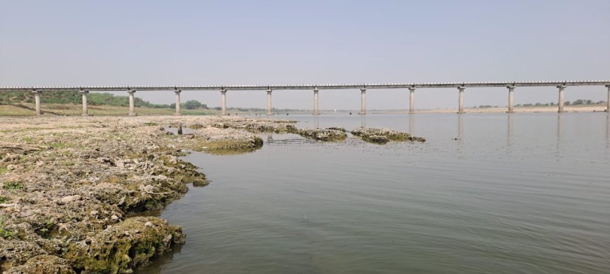 यमुना नदी का जलस्तर भयाभय स्थिति में, नदी के बीच में निकला सिल्ट (पत्थर) भविष्य के लिए खतरा