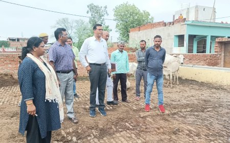 एसडीएम ने इटौरा की गौशालाओं का निरीक्षण कर व्यवस्थाओं का लिया जायजा