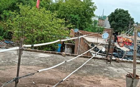 सभासद महेंद्र कुशवाहा ने पोल लगवाये जाने के लिए एस डी एम को दिया पत्र