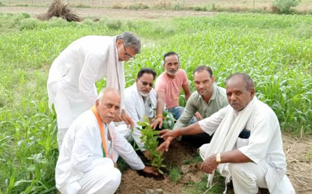 कांग्रेस कार्यकर्ताओं ने वन महोत्सव पर लगाए अनेक प्रजाति के पेड़ पौधे