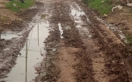 ग्राम पंचायत के आम रास्तों में कीचड़ की भरमार