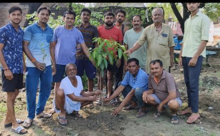 सेवानिर्वित पटेल कल्याण समिति ने माँ के नाम एक वृक्ष के तहत किया वृक्षारोपण