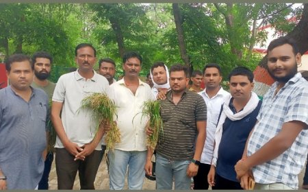 किसानों ने कृषि कार्य हेतु बीस घंटे बिजली आपूर्ति की मांग उठाई