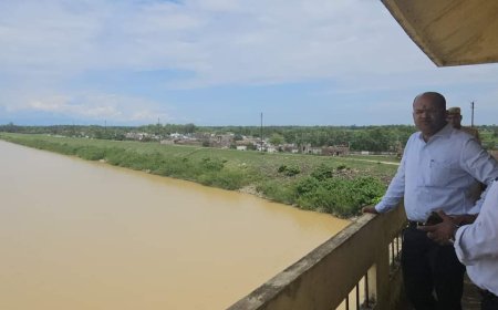 डीएम ने तहसील तुलसीपुर में चितौड़गढ़ बांध का किया निरीक्षण