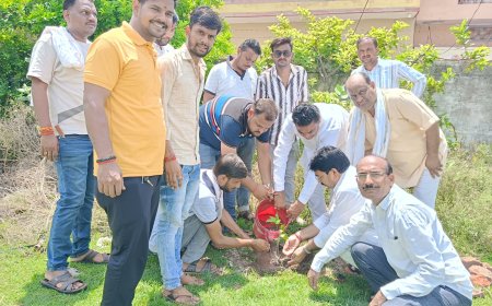 माँ के नाम एक पेड़ अभियान के अंतर्गत लगाए गए पेड़