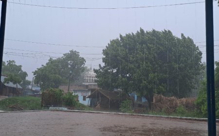 पंचनद धाम तीर्थ क्षेत्र में हुई अचानक तेज बारिश से लोगों को गर्मी से राहत,