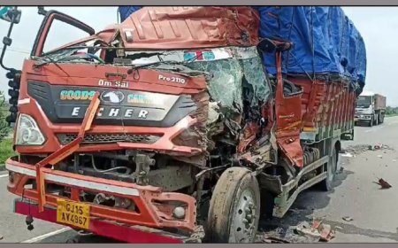 डीसीएम के चालक ने अज्ञात वाहन को मारी टक्कर