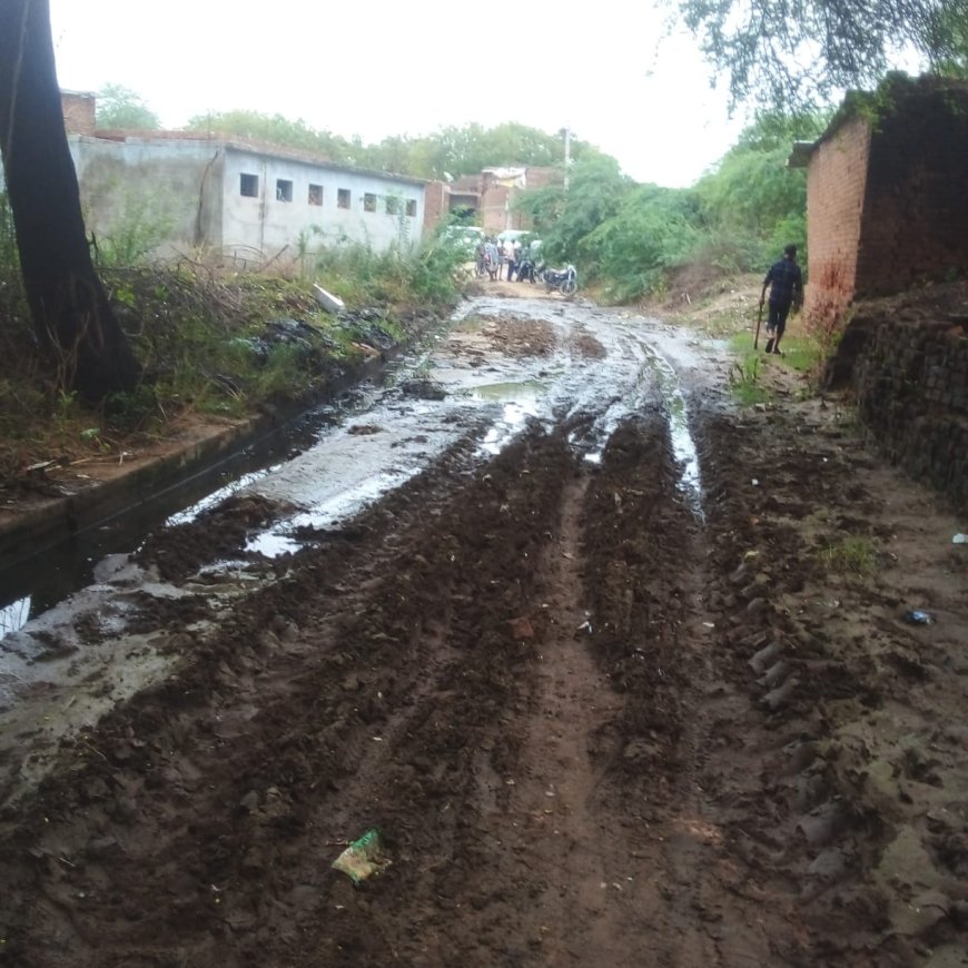 सफाई कर्मी ना आने से पंचायत भवन की रास्ता हुई बाधित