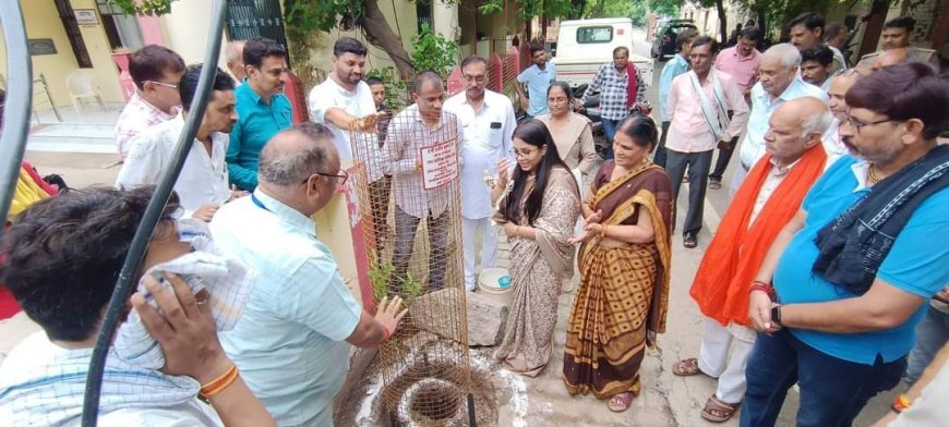 स्व रामप्यारी देवी जे जे एजूकेशनल ट्रस्ट ने तहसील परिसर में किया वृक्षारोपण