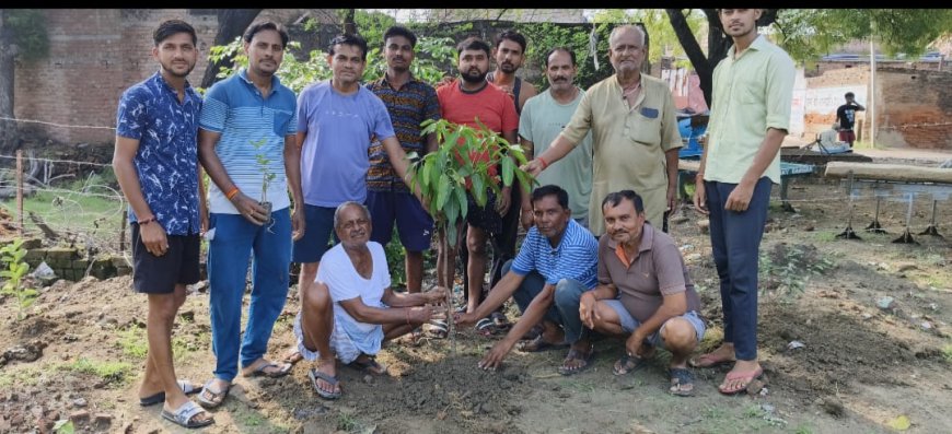 सेवानिर्वित पटेल कल्याण समिति ने माँ के नाम एक वृक्ष के तहत किया वृक्षारोपण