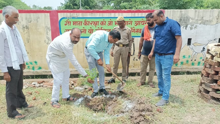 एसडीएम ने गौशालाओं में वृक्षारोपण कर व्यवस्थाओं का निरीक्षण किया