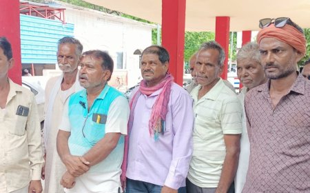 अन्ना जानवरों से परेशान किसान बोले शासन के प्रयास व्यर्थ