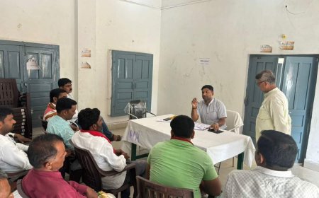 एपीओ ने बैठक कर दिए ग्राम सेवकों को दिशा निर्देश