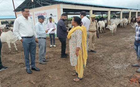 एसडीएम ने गौशाला के निरीक्षण में मिले कीचड़ की सफाई के निर्देश दिये