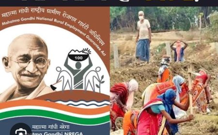 विकासखंड माधौगढ़ में मनरेगा के नाम पर,हो रहे बारे न्यारे