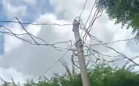 बिधुत पोल क्षतिग्रस्त होने से आपूर्ति हुई बाधित