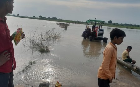 यमुना का जल स्तर आधा मीटर घटने से लोगों ने ली राहत की सांस, लेकिन खतरा अभी टला नहीं