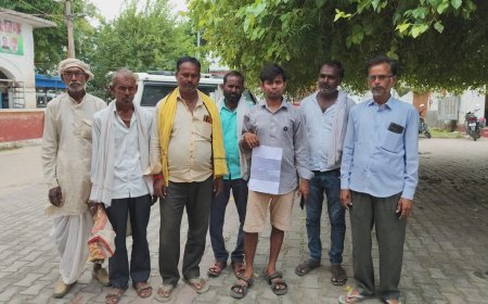 अन्ना छोड़े जा रहे गौवंशजों से धान की फसल हो रही खराब