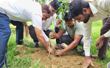 वरिष्ठ पत्रकार सुप्रसिद्ध समाजसेवी पर्यावरण प्रेमी डॉ मदन यादव के 86वें जन्मदिवस पर 86औषधीय एवं फलदार पौधों का वृक्षारोपण