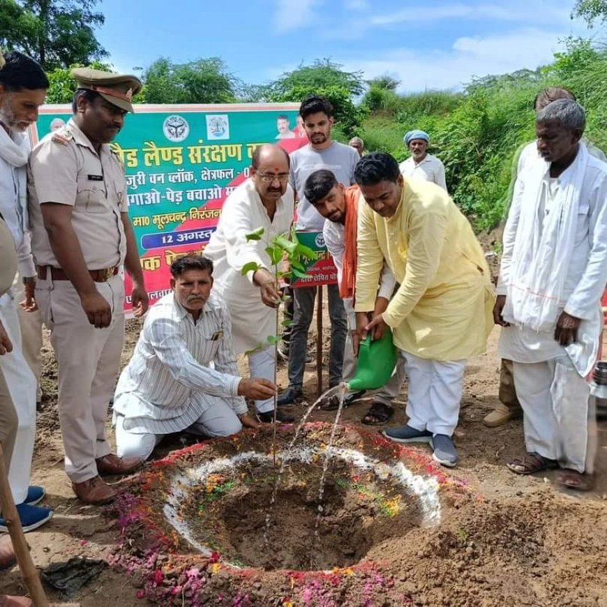 वेस्ट लेंड संरक्षण वन कार्यक्रम का हुआ आयोजन