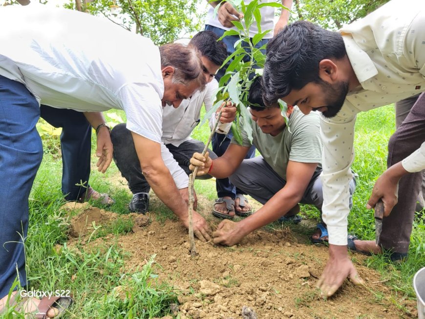 वरिष्ठ पत्रकार सुप्रसिद्ध समाजसेवी पर्यावरण प्रेमी डॉ मदन यादव के 86वें जन्मदिवस पर 86औषधीय एवं फलदार पौधों का वृक्षारोपण