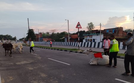 पथ इंडिया लिमिटेड के द्वारा चलाई गई मुहिम से हुई सड़क दुर्घटना में कमी