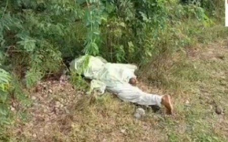 रेलवे लाइन के पास झाडियों में मिला अज्ञात महिला का शव