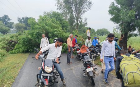 बारिश में पेड़ गिरने से यातायात हुआ बाधित