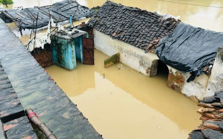 बाढ़ में बिगड़े सलैया गांव के हालात, गांव बना टापू