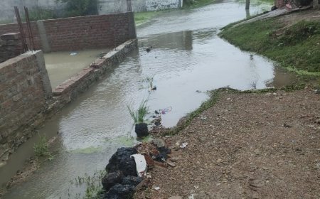 जलभराव से त्रस्त,निवासियों ने जिलाधिकारी को सौंपा प्रार्थना पत्र