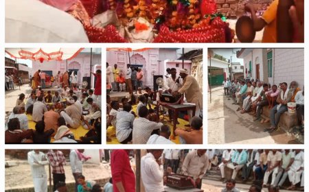 तीन दिवसीय श्री जलविहार महोत्सव का हुआ आयोजन