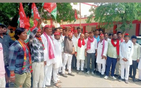 छात्रों कि समस्याओं को लेकर सपा छात्रसभा अध्यक्ष ने अतिरिक्त मजिस्ट्रेट को सौपा ज्ञापन