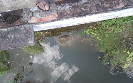 पानी का निकास न होने के कारण हुआ जल भराव, विधालय की दीवार गिरने की हुई संभावना