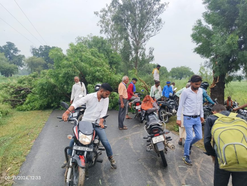 बारिश में पेड़ गिरने से यातायात हुआ बाधित