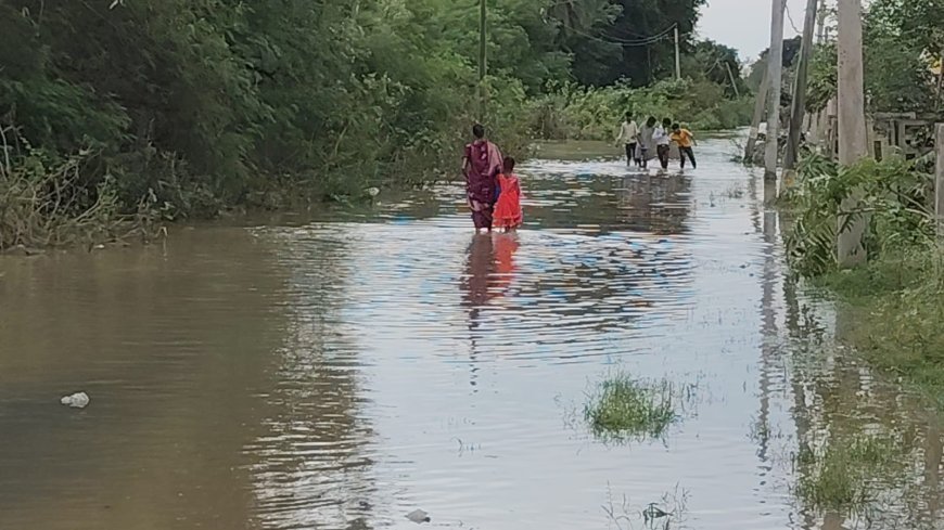 अतिवृष्टि से मुहल्लों में घुसा पानी विधायक सहित प्रशासन ने लिया जायजा