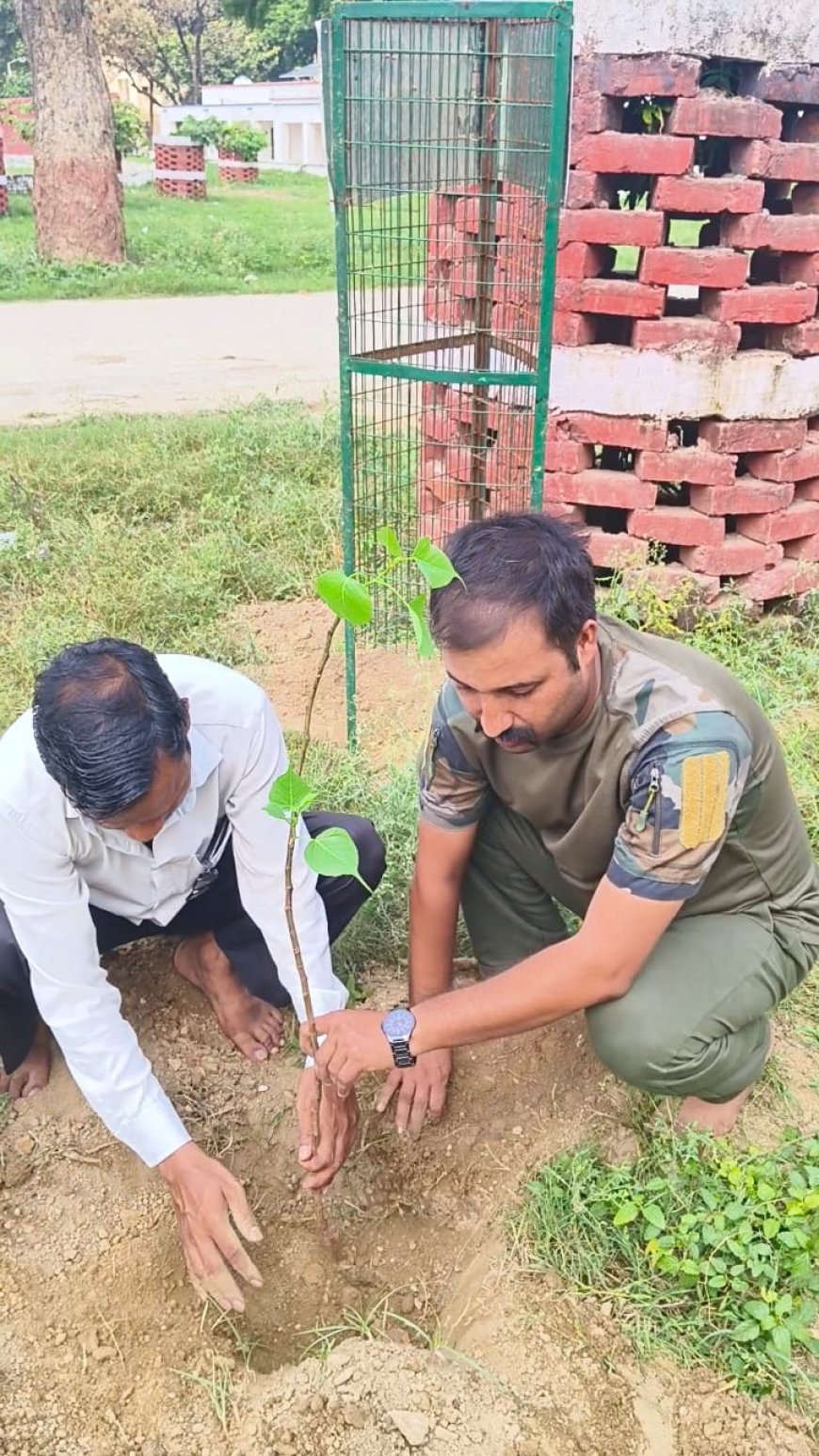 पौधों से मिलता है प्राणवायु इसलिए पौधरोपण जरूरी....खाकी वाले गुरूजी