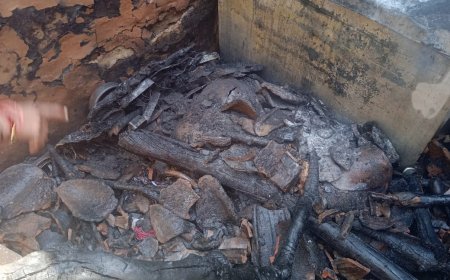 खाना बनाते समय गैस सिलेंडर फटा संपूर्ण गृहस्थी जलकर हुई राख, बड़ा हादसा टला