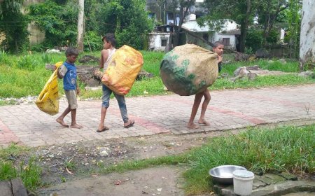 नाबालिग बच्चों से काम कराने की समस्या गंभीर, पढ़ाई की उम्र में दुकान पर कर रहे मजदूरी