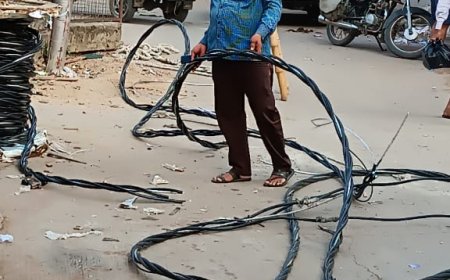 नगर में बिजली के 560 नए खम्भों तथा 19 ट्रांसफार्मर लगने से आपूर्ति में सुधार