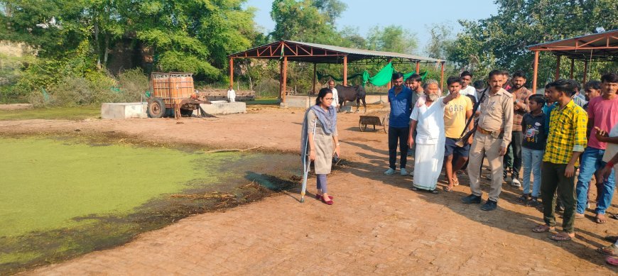 एस डी एम ने पचीपुरी स्थित गौशाला का किया निरीक्षण