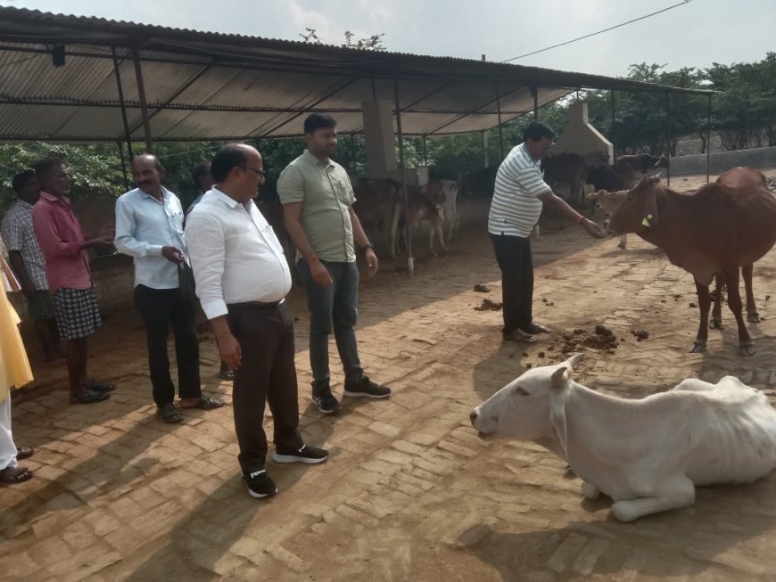 नायब तहसीलदार ने कटारी गौशाला का किया निरीक्षण