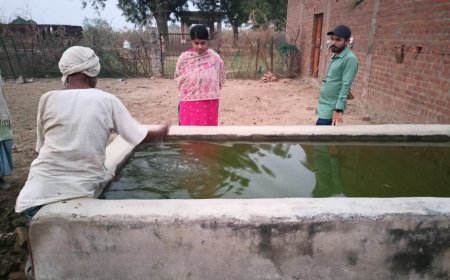 नायब तहसीलदार तारा शुक्ला ने गौशाला का निरीक्षण कर दिए दिशा निर्देश