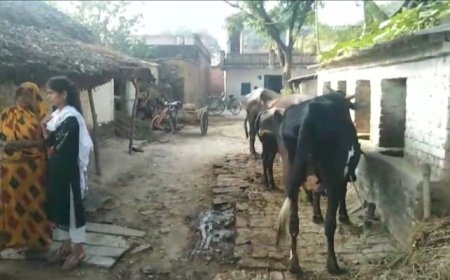 नीम के पेड़ की डाल से लटकता मिला युवक का शव