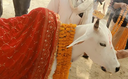 अध्यात्म - भगवान श्री कृष्ण की इस लीला से जुड़ा है गोपाष्टमी का पर्व