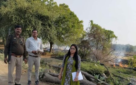 धान की पराली जलाने पर उप जिलाधिकारी ने ठोका जुर्माना