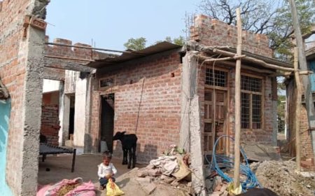 नकली सीमेंट से गई जान के लिए पीड़ित भटक रहा दर दर