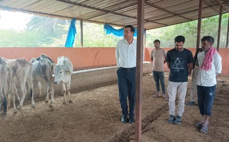 एसडीएम ने गौशालाओं का औचक निरीक्षण कर सर्दी से बचाव के दिए निर्देश