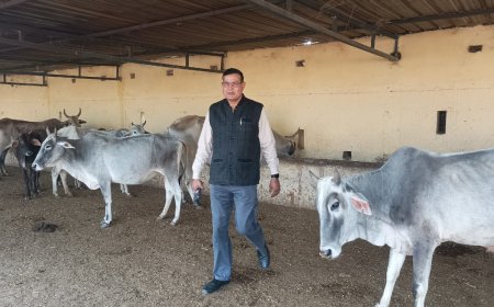 उपजिलाधिकारी ने गौशाला का औचक निरीक्षण कर पानी एवं सफाई के दिये निर्देश