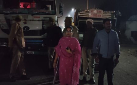 उप जिलाधिकारी ने बिना प्रपत्रों के चार ओवरलोड ट्रकों को किया सीज